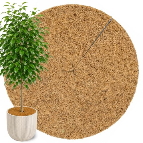 NOOR Kokos-Mulchscheibe - Kübelabdeckung Ø 37 cm - 1 cm 900 g/m² | Isolierender Pflanzenschutz aus Kokosfasern - Winterschutz vor Schnee, Frost & Kälte - runde Kokosmatte für Pflanzkübel