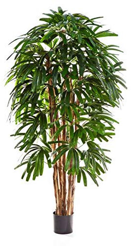 artplants.de Künstliche Steckenpalme, schwer entflammbar, 180cm