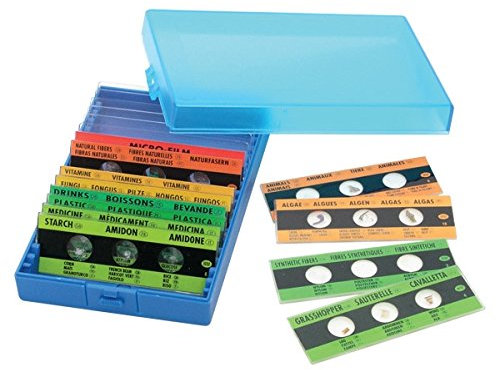 12 Objektträger mit je 3 Präparaten für Schülermikroskope Fertigpräparate mit Sortierbox Zubehör Mikroskop Biologie