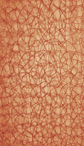 Fuchs seit 1895 Panneau japonais Panellino aspect grille - Panneau coulissant - 60 x 245 cm - Couleur : terre cuite