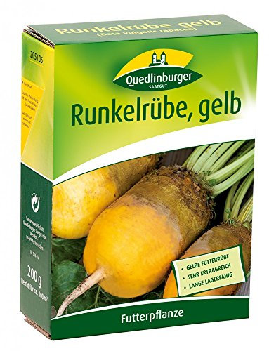 Quedlinburger 205106 Runkelrübe gelb 200 g (Rübensamen)