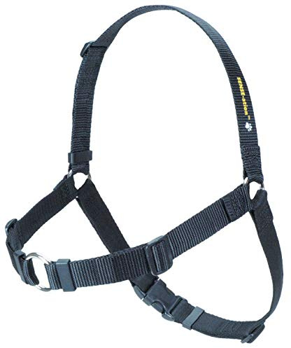 Erziehungsgeschirr für temperamentvolle Hunde – Das SENSEation Harness Erziehungshalsband für Hunde, die stark an der Leine ziehen – Anti Zieh Garantie! (Schwarz, L 2.5cm)