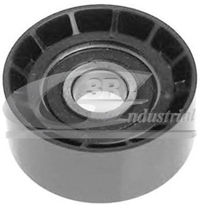 3RG INDUSTRIAL - Rodillo Tensor- OEM 9198527 7700102931 8200104754 - Piezas para Coche Recambios Motor y Otras Partes de Vehículo | Compatible con los Modelos de Coche y Moto indicados más Abajo.