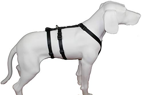 Feltmann NoExit Hundegeschirr® - ausbruchssicher, Panikgeschirr, Unifarben Schwarz, Bauchumfang 60-80 cm, 25 mm Bandbreite