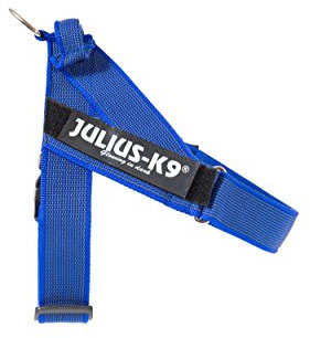 Julius-K9, 16IDC-0-B-2015, Color&Gray IDC-Gurtbandgeschirr, Größe 0, blau-grau