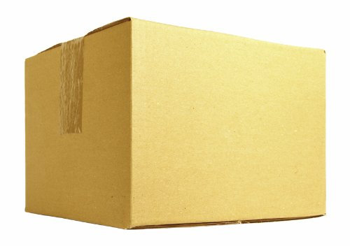 Ambassador 305x229x229mm Single Wall Carton