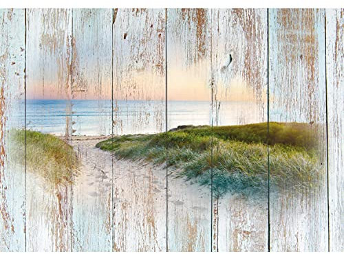 Runa Art Fototapete Strand Holzoptik 352 x 250 cm Vlies Tapeten XXL Moderne Wandtapete Wohnzimmer Schlafzimmer Blau Braun 9111011b