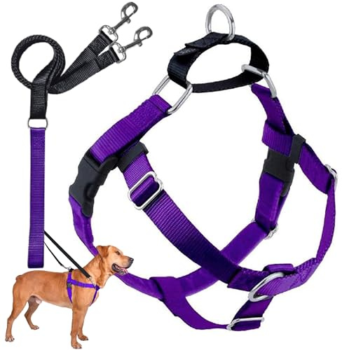 2 Hounds Design Freedom No-Pull Dog Harness with Leash, Medium, 1-Inch Wide, Pink Rose