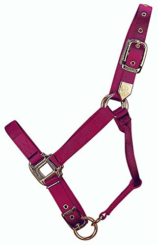 Hamilton 1-Inch Nylon Adjustable Quality Horse Halter with Adjustable Chin, Average Size