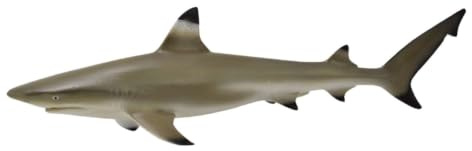 Collecta – col88726 – Der Meere – Schwarzspitzen Spitzen – M – Schwarz