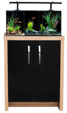 Aqua One Betta Trio, Black