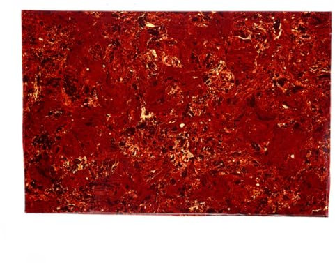 Musiclily 435x290mm Pickguard Blank Schlagbrett Rohling Material für Fender Strat Tele E-Gitarre und Bass, 4-lagig Vintage Tortoise
