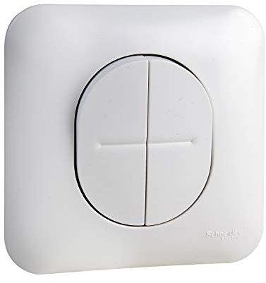 Schneider Electric S265214 Ovalis - double va et vient - 10AX - avec griffes