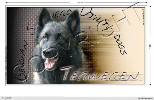 Pets-easy Rechteckige Aufkleber Hund 60cm Belgische Schäferhunde