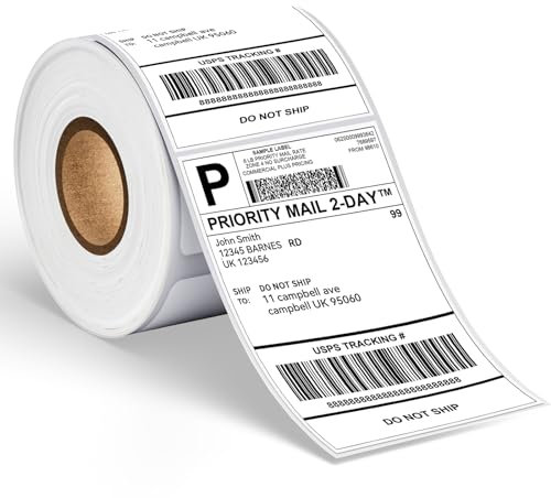 Memoking 4x6 Versandetiketten - 250 Stück Thermoetiketten kompatibel mit Phomemo, MUNBYN, Nelko, Rollo, Jadens, POLONO, iDPRT, ASprink Versandetiketten Drucker, Starke Klebeetiketten Öl-und Wasserfest