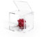 Cubo Rosa stabilizzata con 4 Petali in Cristallo - Idea regalo Perfetto per Festa della mamma. Disponibile in blu, bianco, rosa e rosso. (rosso)