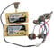 Alnico Gitarren-Tonabnehmer, klassisch, Vintage und Pro Bucker, Humbucker, E-Gitarre mit Profi-Kabelbaum, E-Gitarren-Tonabnehmer (Zebra YE)