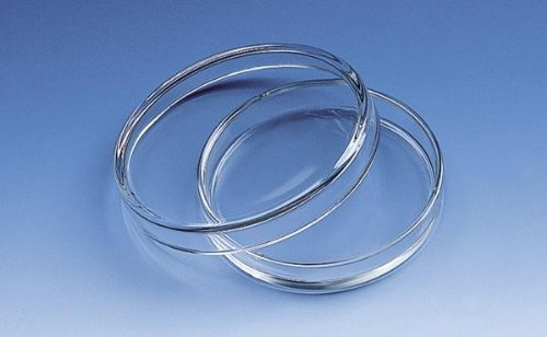 Petrischale, Natron-Kalk-Glas, ohne Nocken, mit Deckel-Ø 150 mm, Höhe Unterteil 25 mm
