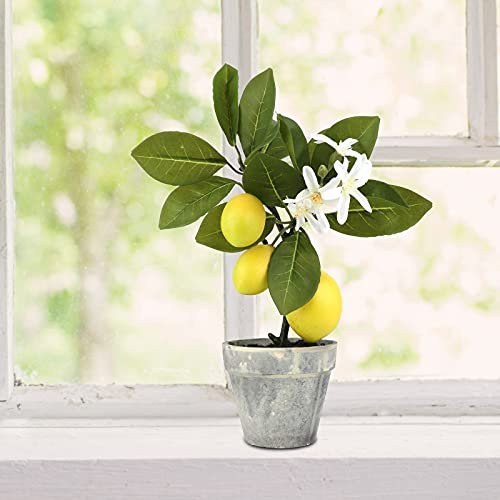 MCDSAJ Künstliche Bonsai-Zitronen-Obstbäume, 30,5 cm, Mini-Pflanze, Blumen, Ornamente für Hochzeit, Party, Heimdekoration, künstliche grüne Topfpflanzen