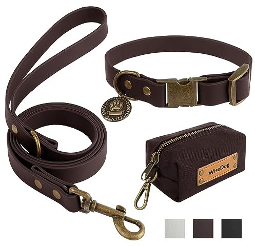 Wisedog Hundehalsband und Leine Set Combo: Einstellbare langlebige Haustier Halsbänder mit Hundeleinen für kleine mittlere große Hunde, enthält einen Bonus von Poop Bag Holder (L, Braun)