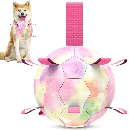 QDAN Hundespielzeug, Fußball mit Riemen, interaktives Hundespielzeug zum Tauziehen, Welpengeburtstagsgeschenk, Wasserspielzeug, langlebige Hundebälle für kleine und mittelgroße Hunde, Regenbogen (20,3