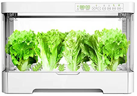 SETSCZY Serra idroponica Green Farm, Sistema Coltivazione idroponico per Erbe aromatiche, Piante, Fiori con Lampada LED, Crea Il Tuo orto in casa per Casa e Cucina