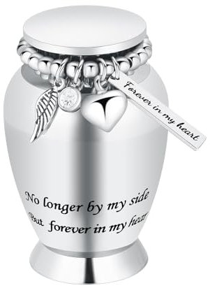 Kleine Urnen für menschliche Asche Andenken Kremation Urne für menschliche Asche mit Flügeln Charme Mini Personal Funeral Urne für Haustier (Silber-kleine Flügel)