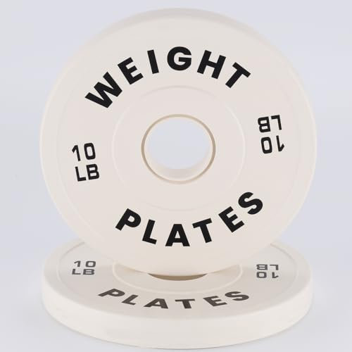 2 in Change Plates 10LB Set of 2 Fractional Weight Plates Set,Bumper plates for Gym Home,Rubber Coating & Steel(10 LBx 2 PC)
