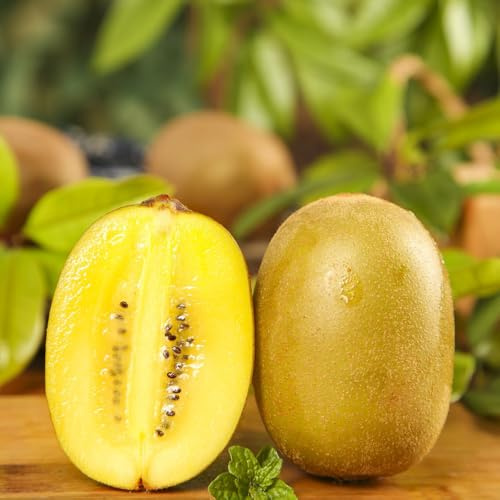 semillas de kiwi - exóticas, resistentes para jardín balcón, orgánicas 20pcs