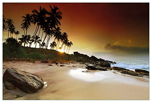 Wallario Küchenrückwand selbstklebend 90 x 60 cm, Motiv: Sri Lanka - Palmenstrand mit Sonnenuntergang | Spritzschutz abwischbar & pflegeleicht