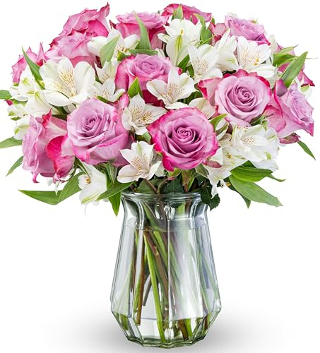Benchmark Bouquets - Delightful Roses & Alstroemeria (Glass Vase Included) - Fresh Flowers for Delivery - Gift for Graduation, Birthday, Anniversary, Sympathy, Get Well, Congratulations
