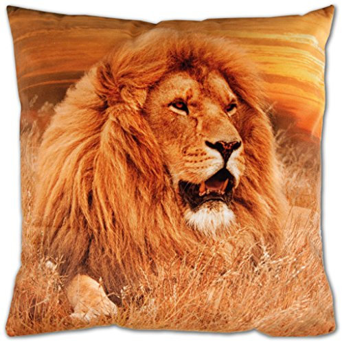 Bestlivings Kissenbezug inkl. Füllkissen mit Fotodruck 40x40cm, Flauschig weiche Kissenhülle, Bezug mit Reißverschluss, Dekokissen Sofakissen (Design: LÖWE/Sonnenuntergang)