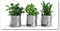 Tulup Impression sur verre100x50 cm Image Tableau Photo décorative panoramique pour la cuisine et le salon - Nourriture et boissons - Plantes Aromatiques - Vert
