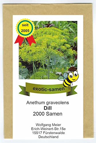 Dill - Bienenweide - Anethum graveolens - 2000 Samen