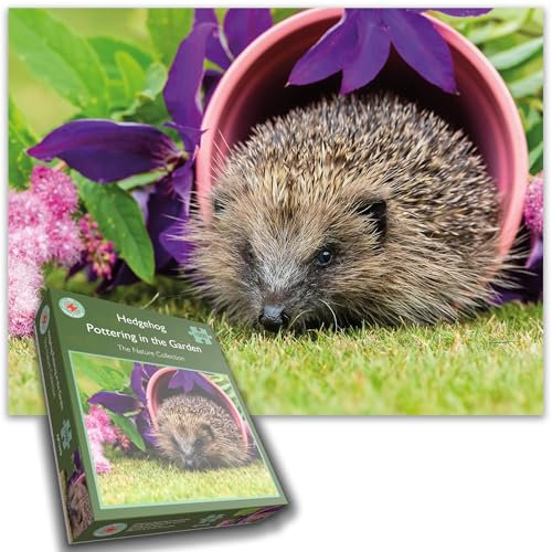 Puzzle mit 1000 Teilen, Igel Pottering In The Garden