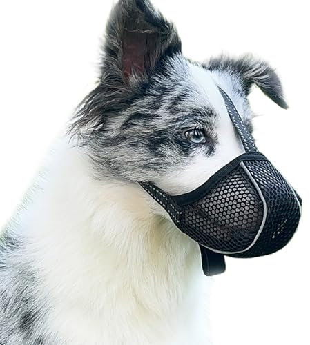 Maulkorb für Große Hunde, Prevent Kauen/Fressen/Beißen Hunde Maulkorb, Atmungsaktiv Reflektierende Einstellbare Maulkorb Mittlere Hund (Schwarz, S)