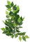 Exo Terra Fikus, hängende Regenwaldpflanze aus Seide, klein, Länge 31cm