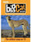 Big Cat Week: The Complete First and Second Series [DVD] (2004/2005)