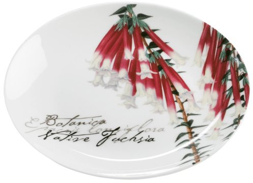 Maxwell & Williams S692144 Botanic Teller, Kuchenteller, Frühstücksteller, Floral Fuchsie, 15 cm, in Geschenkbox, Porzellan, mehrfarbig