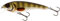 Westin Raw Bite 15cm 61g - Wobbler Floating, Farbe:Crystal Perch