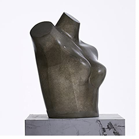LXLIGHTS Schneiderpuppen Schneiderpuppen Damen Torso, Zeigen Sie Büste Halbwaage Unterwäsche Mannequins Schneiderpuppe, Schaufensterkleidung Anzeige Schneider Puppenpuppen für Nähen Schneiderinnen, 3
