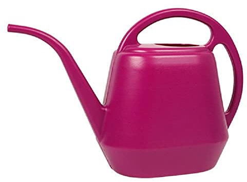 Arrosoir de grande capacité de 4 L - Bouilloire à bec long pour intérieur ou extérieur - Pour plantes de jardin, fleurs, plantes succulentes, bonsaï, arrosoir - 10 l