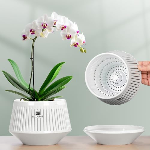 Meshpot Orchideentöpfe mit Löchern zum Umtopfen, 12 cm, 3er-Set, dekorativer Orchideen-Übertopf mit Luftschnitt und guter Luftzirkulation, weißer Orchideenbehälter aus Kunststoff mit Untersetzern