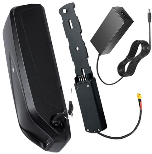 Blivysse Batterie Lithium-ION 48 V, 48 V 10,4 Ah, 8 Ah, pour Tube Diagonal 48 V, pour Moteurs 250 W et 500 W, avec Chargeur et Port 4 Broches