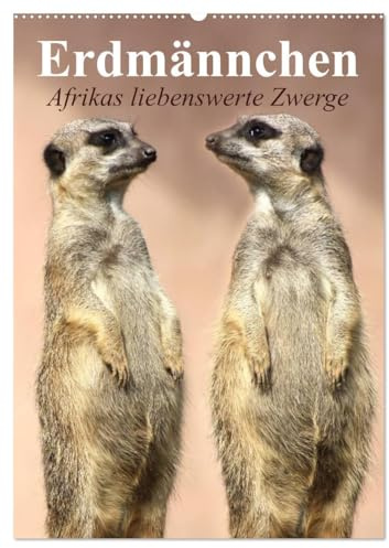 Erdmännchen - Afrikas liebenswerte Zwerge (Wandkalender 2026 DIN A2 hoch), CALVENDO Monatskalender: Die talentierten Bluffer und Buddler aus Südafrika (CALVENDO Tiere)