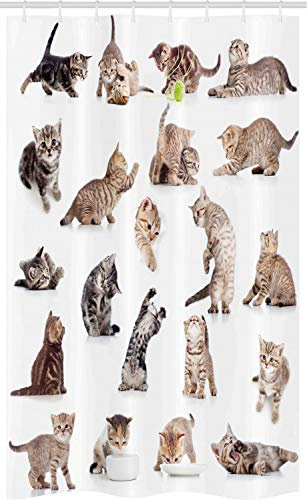 ABAKUHAUS Katze Schmaler Duschvorhang, Lustiges Kätzchen Foto Muster, Badezimmer Deko Set aus Stoff mit Haken, 120 x 180 cm, Braun Schwarz Weiß