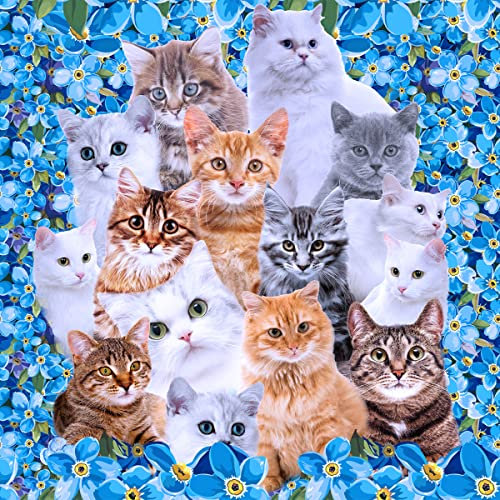 Katzen Möbelstoff,Meterware,süße 3D Katzenkollektion,Outdoor Stoff,Meterware,Kätzchen Katzenliebhaber,blauer Blumenblumen Dekorationsstoff für Polster und Heimwerkerprojekte,92x160cm,Orange Blau