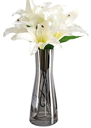 Aoderun Blumenvase Glas Vasen Deko Groß 26cm Hoch Kleine Vasen für Tischdeko Pampasgras Vase Grau für Eine Rose Hyazinthen