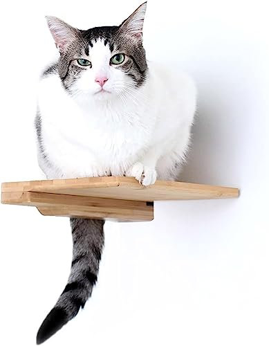 Catastrophic Creations Katzen-Stufen-Bambusregal mit Kork-Pad – Katzen-Wandregale – Katzen-Wandmöbel – Katzenkletterregale – Katzenregal für die Wand – Wandmontierte Katzenmöbel (22,9 x 7,6 x 27,9 cm)