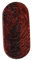 CDQL Magnet-Finger-Stressabbau-Schieber, Finger-Stressabbau-Schieber, Dekompressionsspielzeug, Finger-Schieber-Spielzeug, Ovales Holz-Finger-Stressabbau-Spielzeug, (Shannan-Impression)